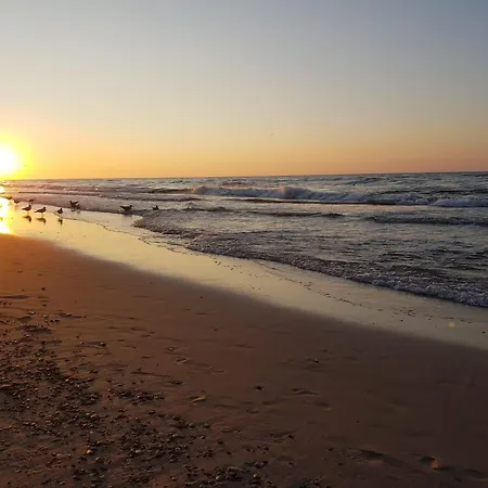 Malibu Domek letniskowy